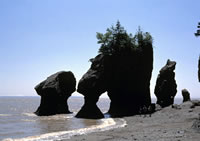 New Brunswick