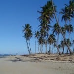 dominican republic, baby, toddler, malaria