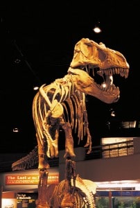 Province, Alberta, Weekend in Canada, Holiday in Canada, Holidays in Canada, Dinosaur