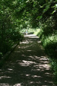 Path at Riverdale Farm (333 x 500) Riverdale Farm, Path To Ravine, Free Toronto, Toronto Family