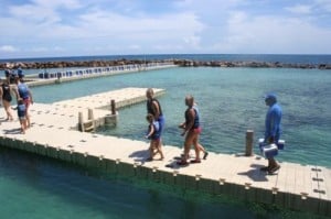 Dolphin Cove REady (500 x 333) Dolphin Swim, Dolphin Cove Jamaica, Dolphin Cove, Ocho Rios, Jamaica