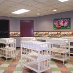 animal kingdom, baby care center