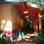 animal kingdom, baby care center
