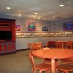 animal kingdom, baby care center