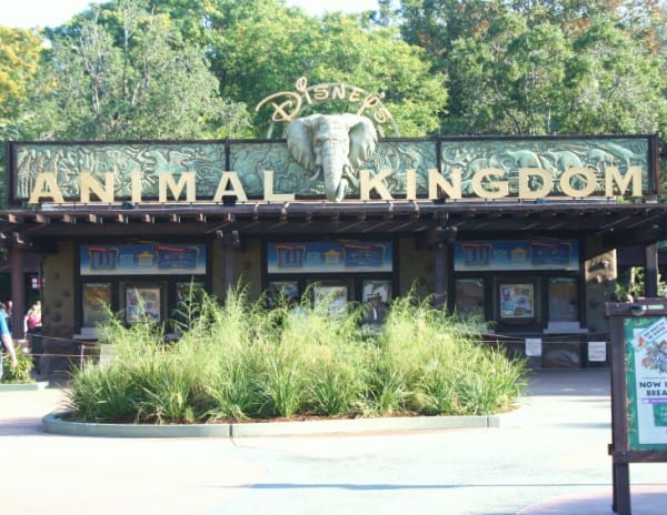 Animal-Kingdom-Entrance-600-x-464.jpg