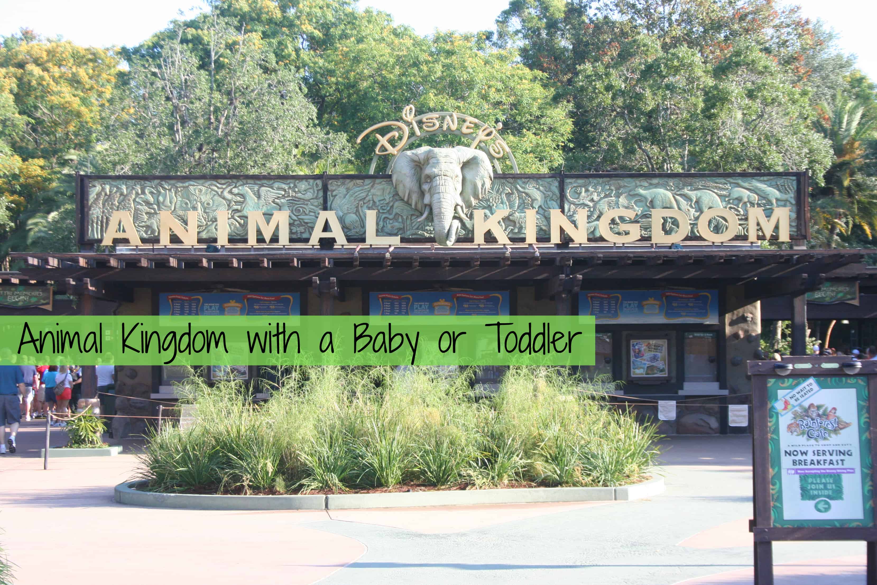 Walt Disney World Guide | Animal Kingdom with Babies & Toddlers