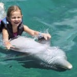 girl on dolphin, swim with dolphins, dolphin cove, jamaica