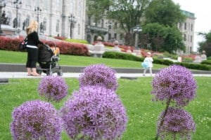 quebec city, quebec city with baby, baby travel, travel stroller