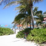 castaway cay, castaway cay bahamas, way to beach, baby friendly disney, castaway cay with babies, castaway cay with toddlers