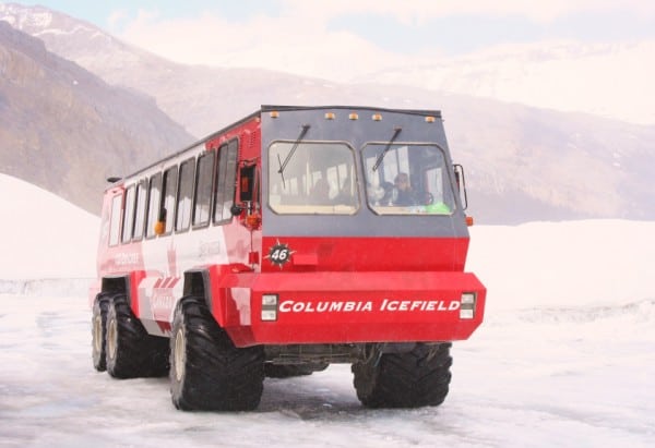 glacier adventure, ice explorer, ice bus, brewster tours ice explorer, columbia icefields adventure, glacier walk, banff with kids, banff with a toddler