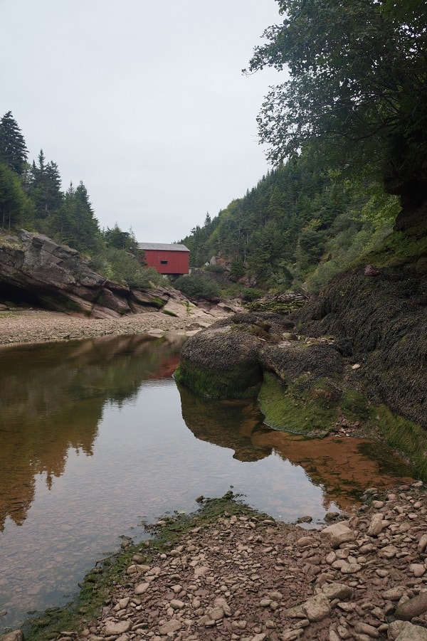 eastern canada road trip, fundy with baby