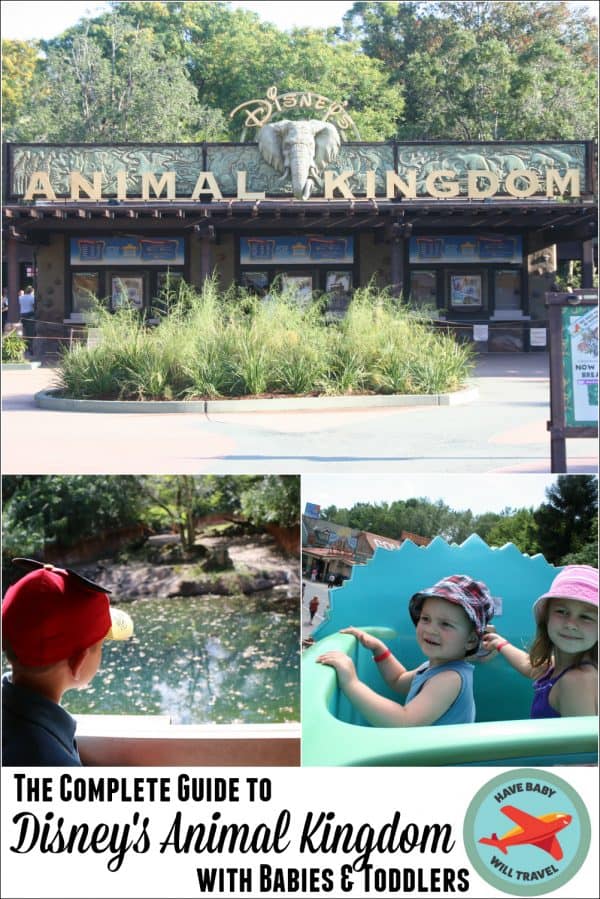 animal kingdom for toddlers, animal kingdom with a toddler, animal kingdom with a baby, animal kingdom with babies